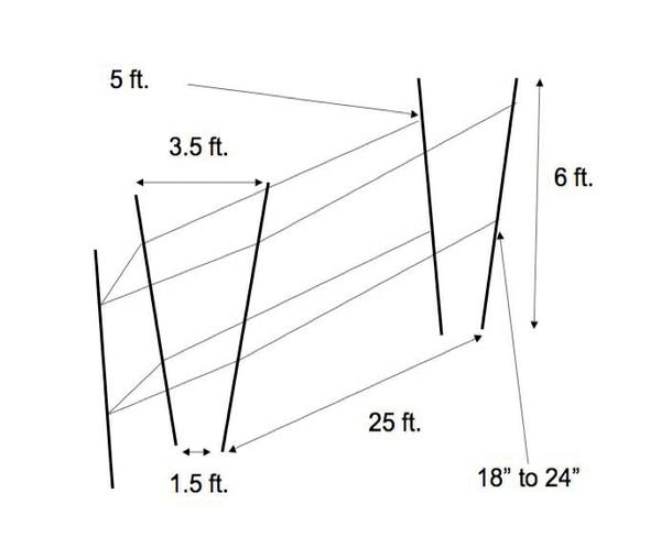 Figure 16a. V-trellis for blackberry or raspberry support.